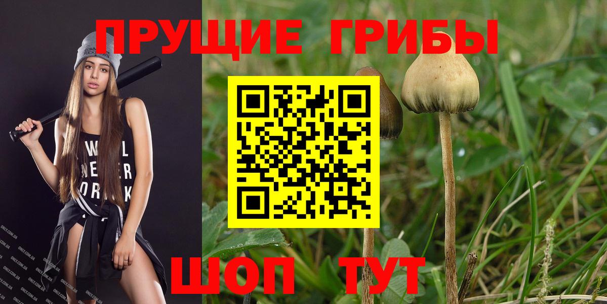Галлюциногенные грибы мухоморы Батайск